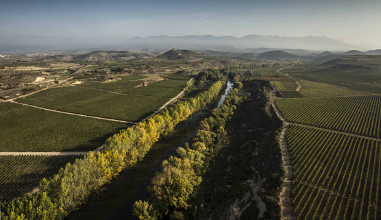 In Search of Rioja