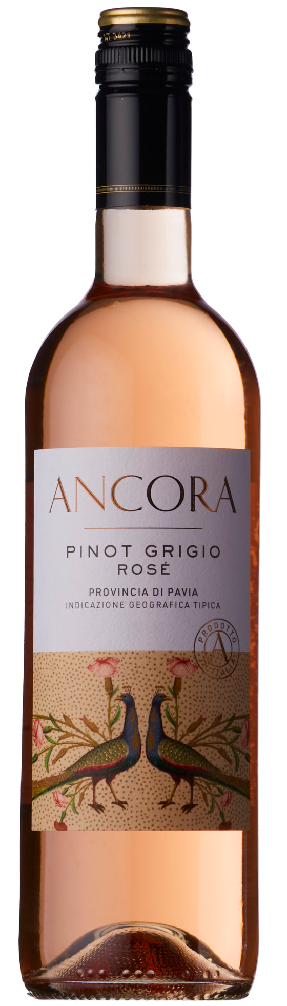 Ancora Pinot Grigio Rose 2022