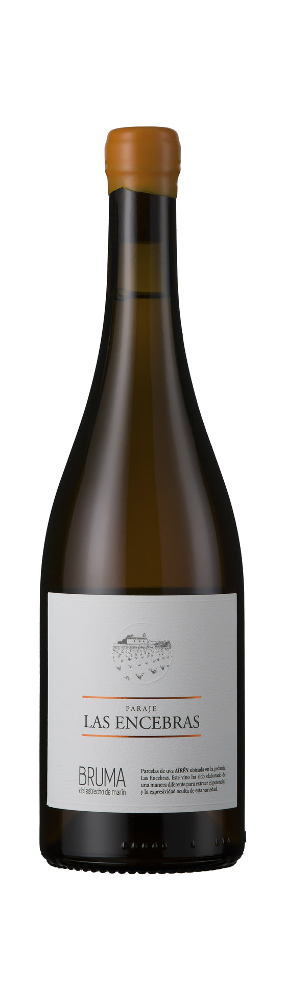 Paraje Las Encebras, Vina Elena 2021