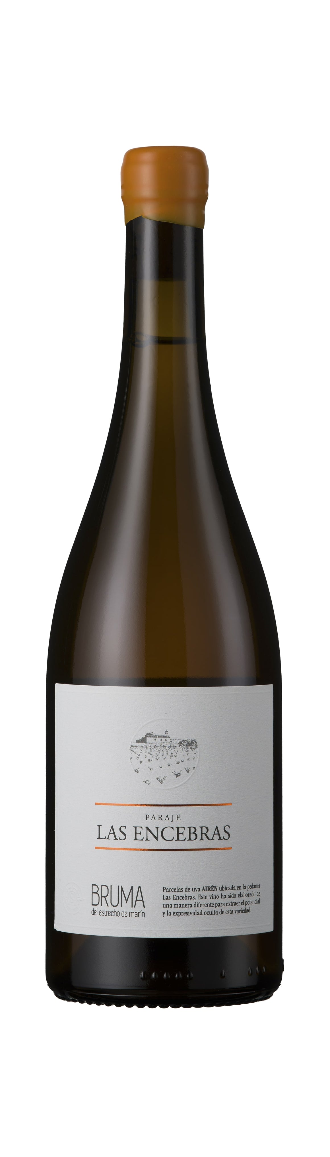 Paraje Las Encebras, Vina Elena 2021