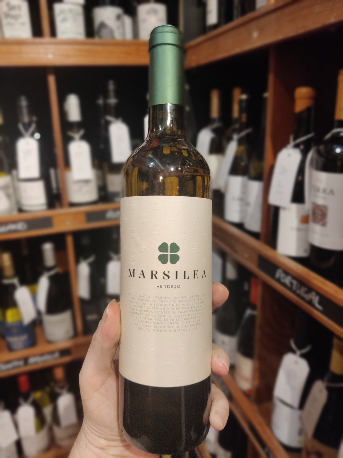 Marsilea Verdejo 2023